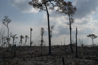 Les feux de forêt en Amazonie sont souvent boutés par les acteurs de l'agro-négoce mais ils se multiplient aussi sous l'effet de la sécheresse liée au changement climatique (archives). KEYSTONE/AP/LEO CORREA
